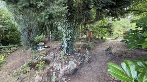 IMG_1041.jpg