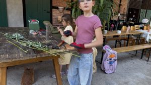 IMG_1052.jpg