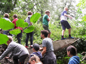 camp2019-0311751.png