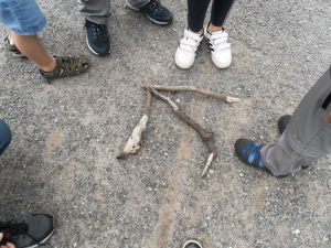 camp2019-0311831.png