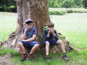camp2019-0311848.png