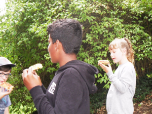 camp2019-0311866.png